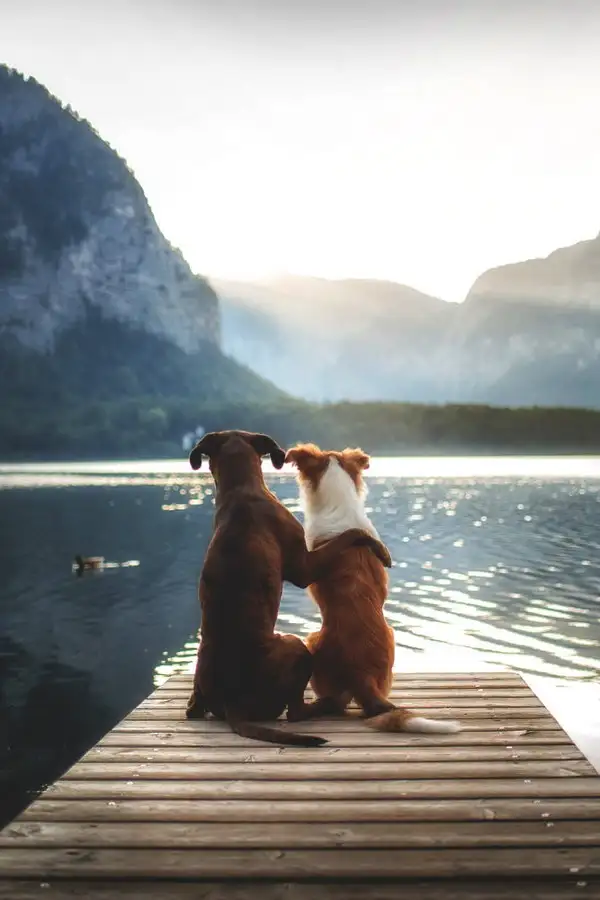tumblr_ovext66WRg1u8wonlo1_1280.webp