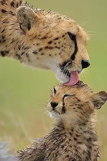 tumblr_owejk6TyCS1stmjkwo1_400.webp