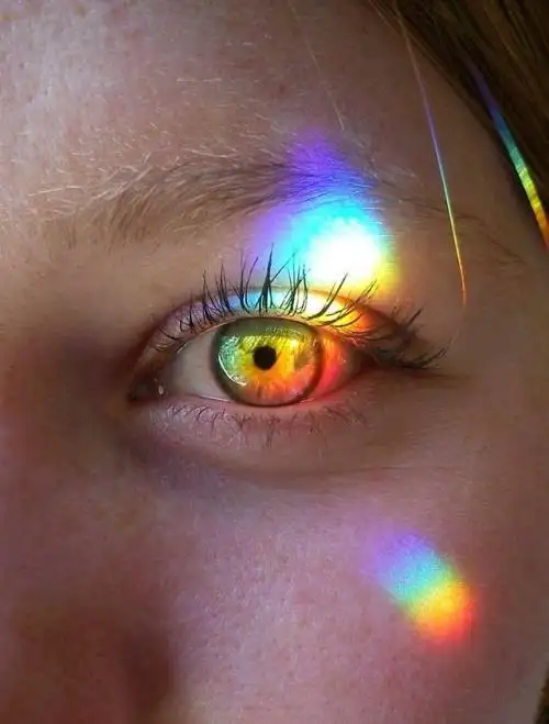 tumblr_p2ffgei5H61x1b2ewo1_500.webp