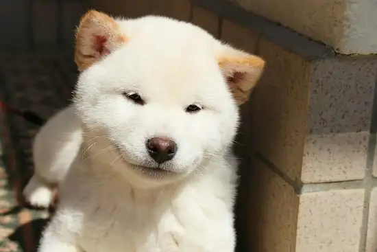 tumblr_p6ynn9NvCc1rnbunpo1_1280.webp