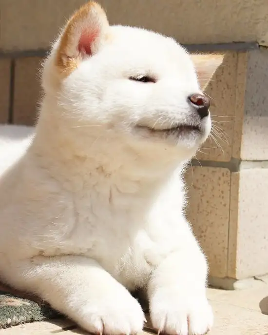 tumblr_p6ynn9NvCc1rnbunpo2_r1_1280.webp