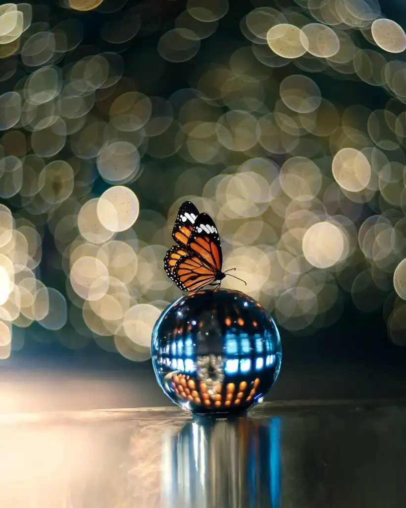 tumblr_plnrr14bGN1wdnxxyo1_1280.webp