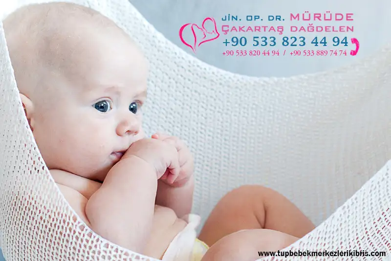 tup-bebek-1.webp