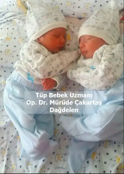 tüp bebek resim.webp