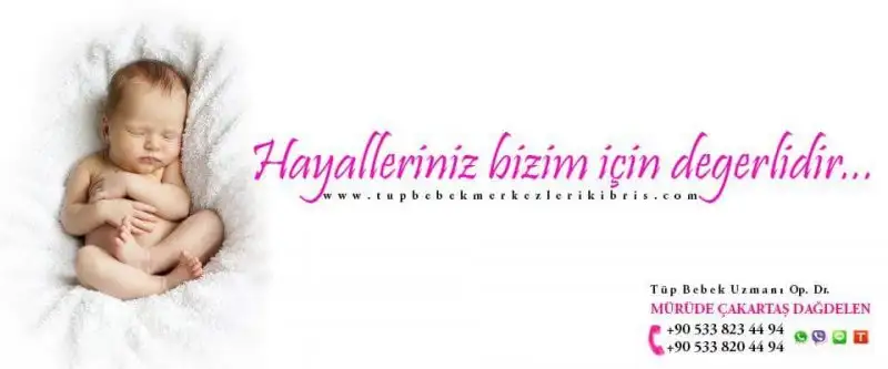 tup-bebek.webp