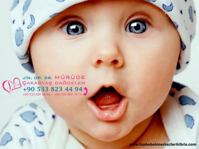 tup-bebek.webp