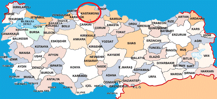 turkiye_siyasi_haritasi.gif