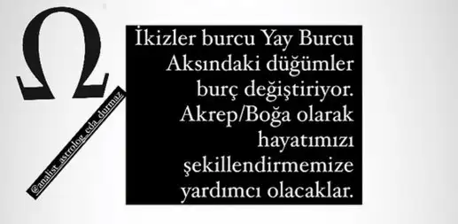 tut 2 (1).webp