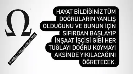 tut 2 (5).webp