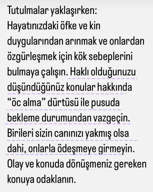 tut0 (1).webp