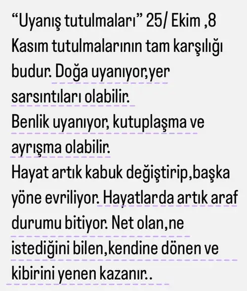 tut0 (2).webp