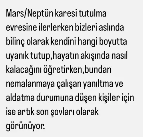 tut0 (3).webp