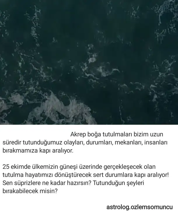 tut0.webp