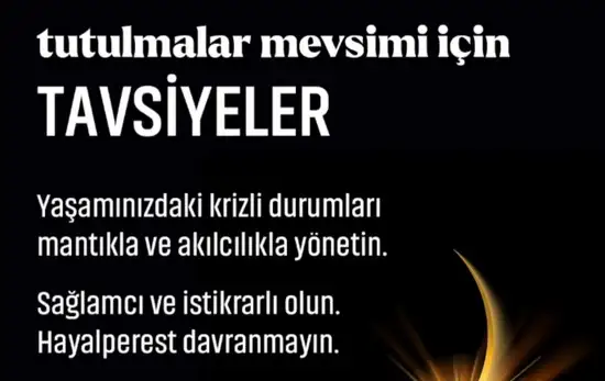 tut1 (1).webp