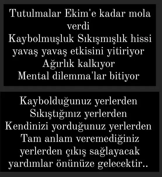 tut1 (1).webp
