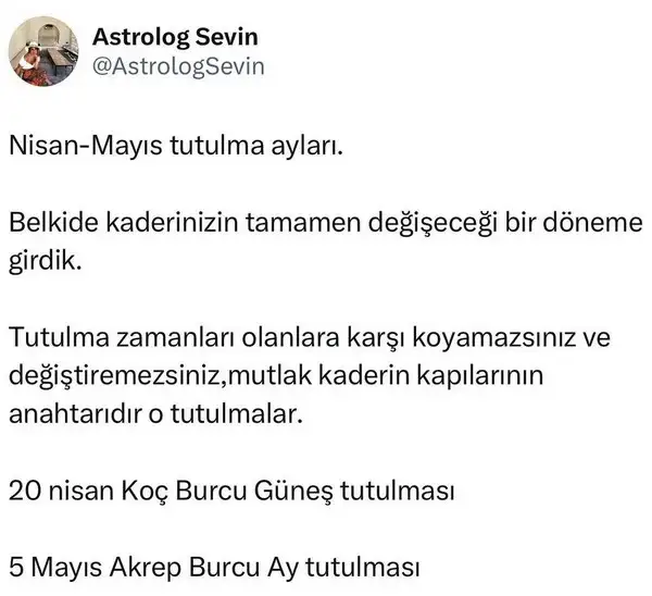 tut1 (1).webp