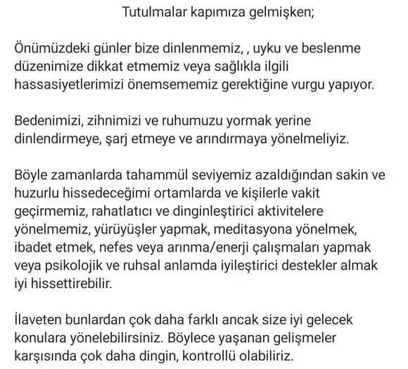 tut1 (2).webp