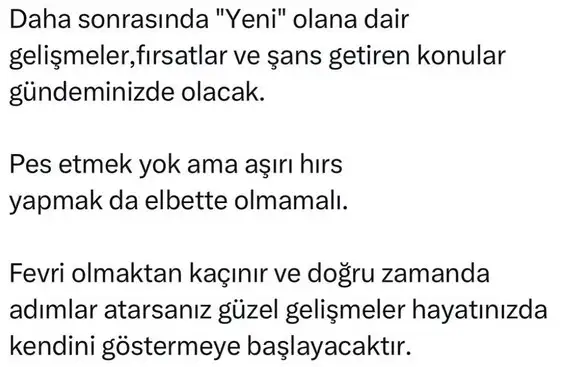 tut1 (2).webp
