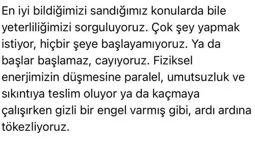 tut1 (2).webp