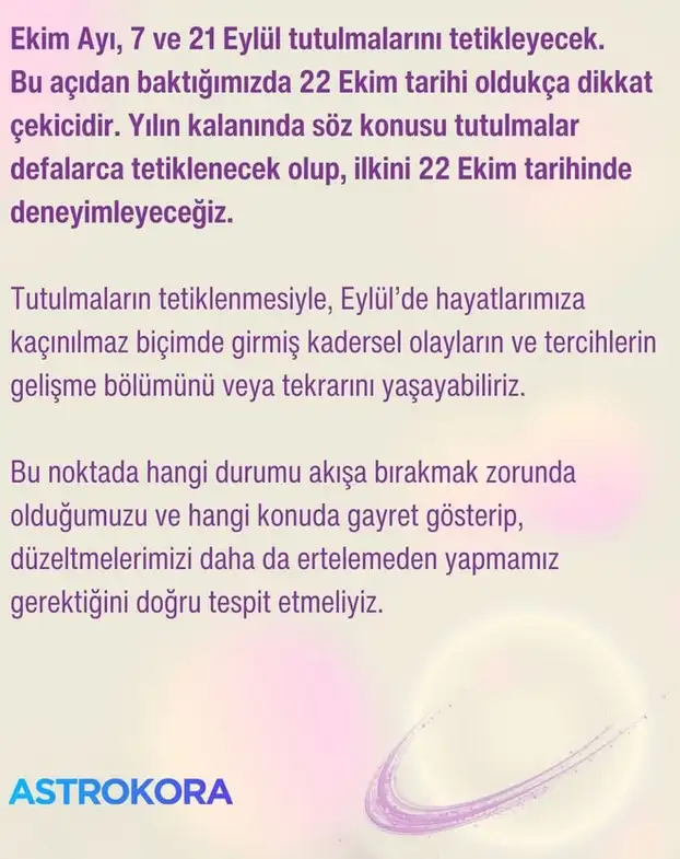 tut1 (2).webp