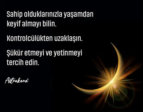 tut1 (3).webp
