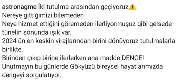 tut1 (8).webp