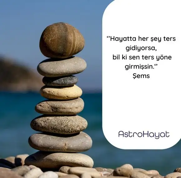 tut10 (1).webp