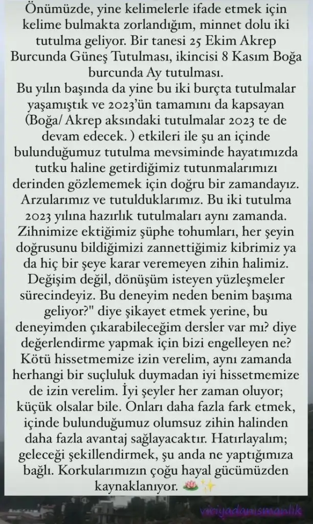 tut11.webp