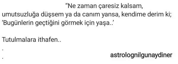 tut12 (4).webp