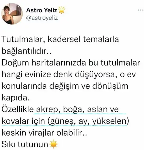 tut14.webp