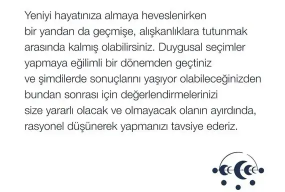 tut1a (6).webp