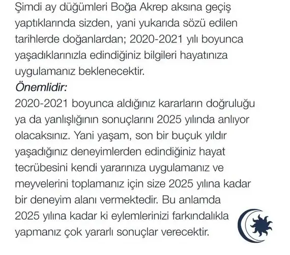 tut1b (4).webp