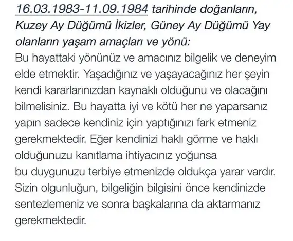 tut1b (7).webp