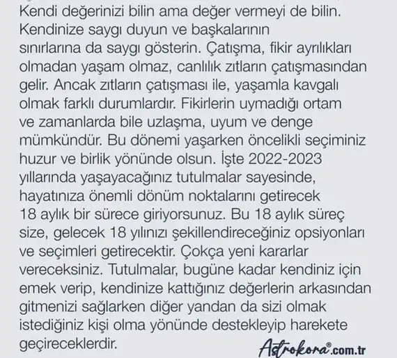 tut1k (8).webp