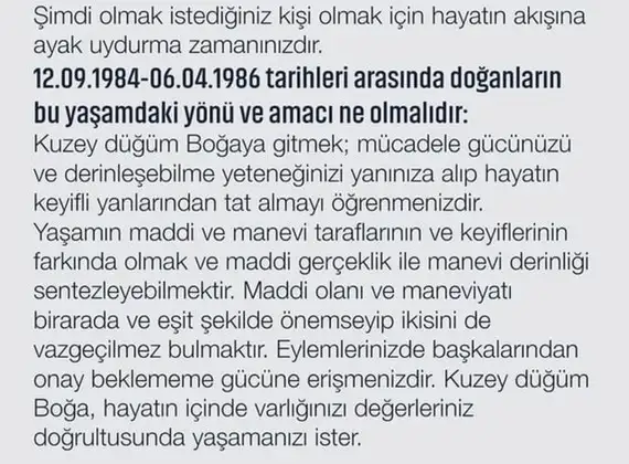 tut1k (9).webp