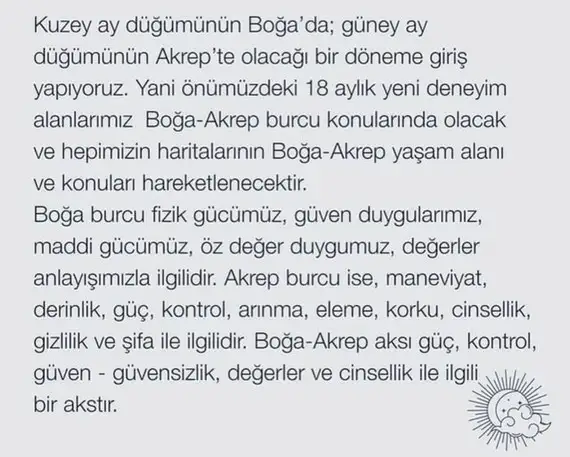 tut1w (3).webp