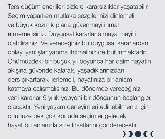 tut1w (6).webp