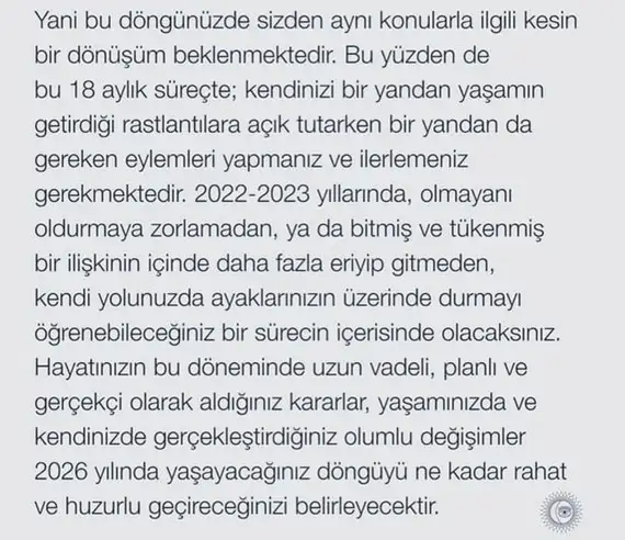 tut1w (8).webp