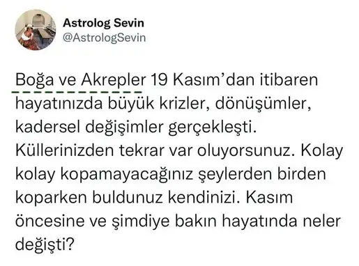 tut2 (1).webp