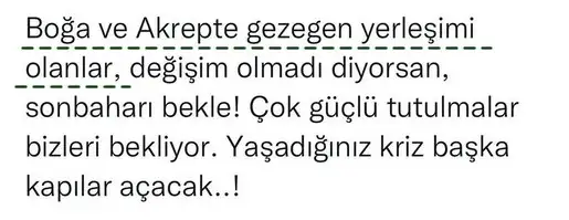 tut2 (2).webp