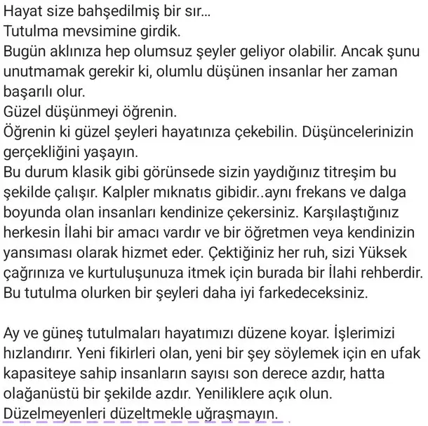 tut2 (2).webp