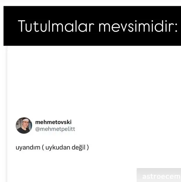 tut2.webp