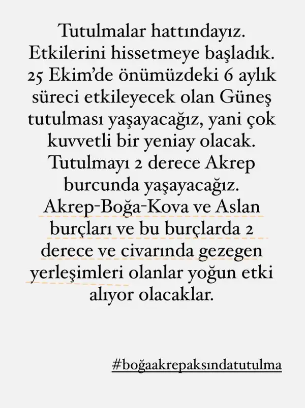 tut4 (1).webp