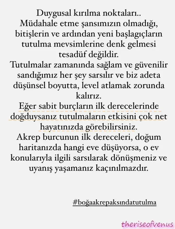 tut4 (2).webp