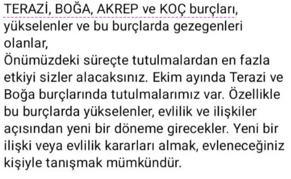 tut4 (3).webp