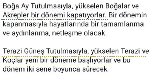 tut4 (4).webp