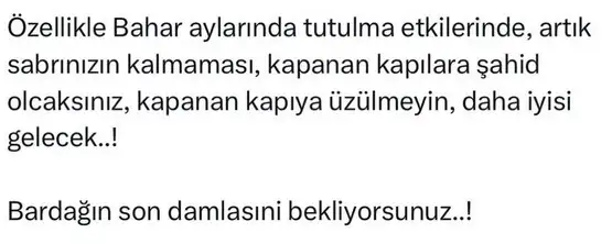 tut5 (2).webp