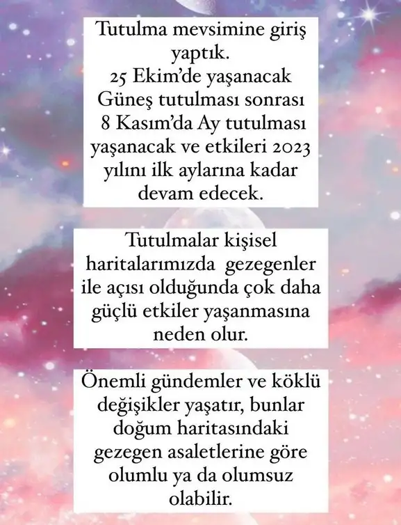 tut6 (1).webp