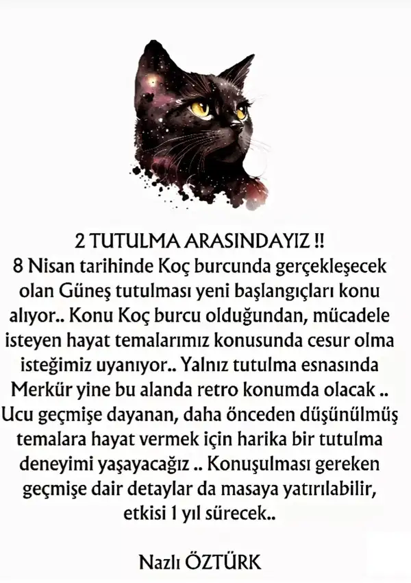 tut6.webp