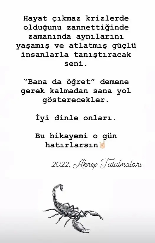 tutulmalar 1 bbb.webp